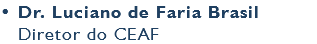 • Dr. Luciano de Faria Brasil Diretor do CEAF