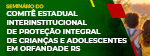 Seminário do Comitê Estadual Interinstitucional de Proteção Integral de Crianças e Adolescentes em Orfandade RS (e)