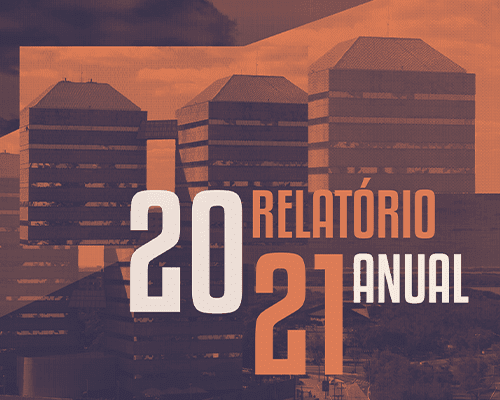 Relatório Anual 2021
