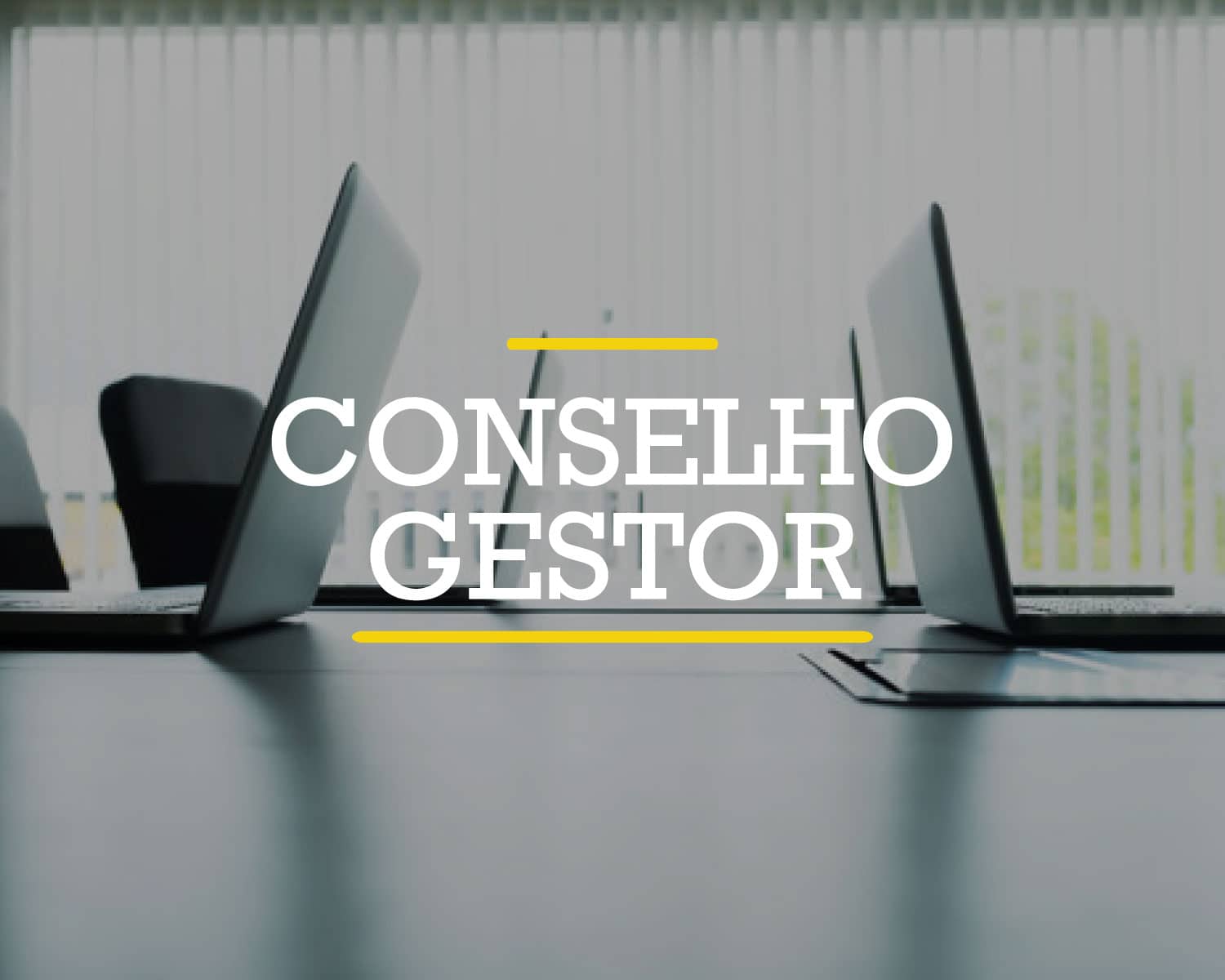 Conselho Gestor