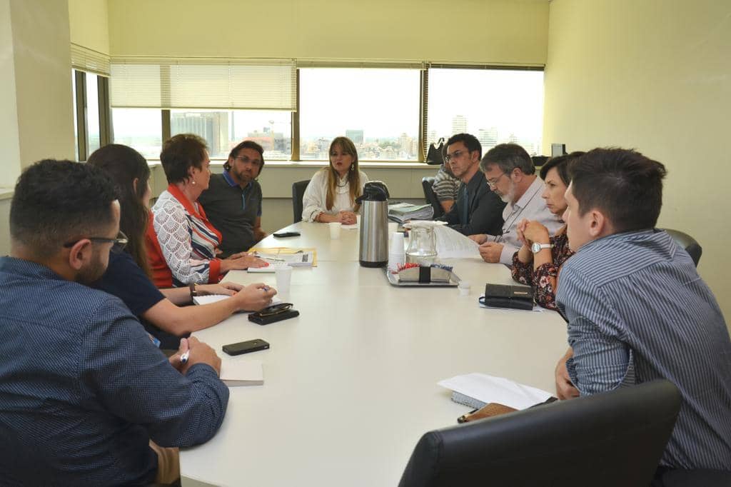 Cinara Dutra Braga durante reunião com representantes de bancos... 