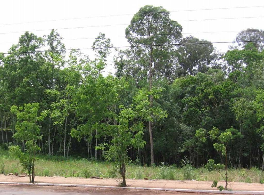 Área onde seria realizada a obra