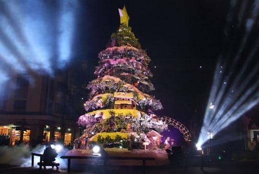 Natal Luz de 2010