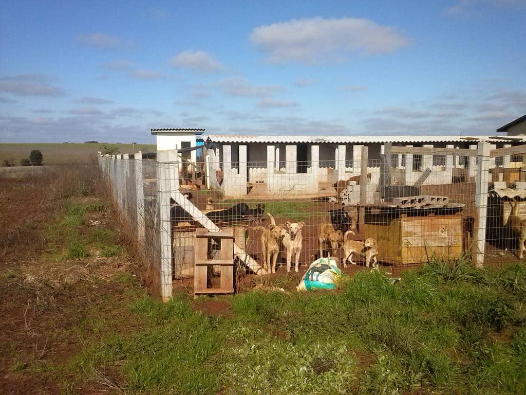 Sede do canil, em inspeção realizada pela Promotora