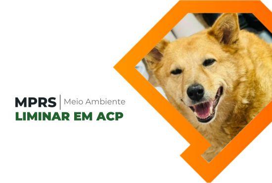 Pelotas: MPRS obtém liminar para exigir protocolo permanente de atendimento no Canil Municipal