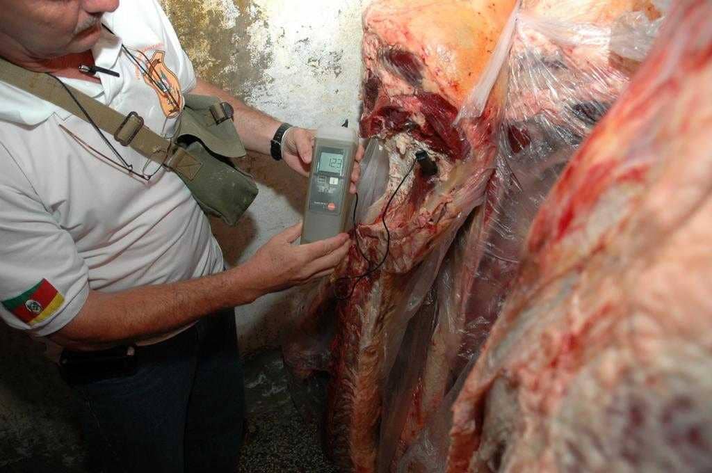 Carne foi inspecionada pelos fiscais