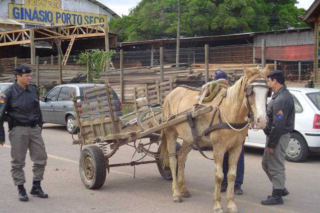 Carroceiro chuta cabeça de cavalo após animal cair exausto em MT