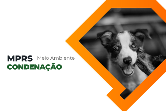 Imagem ilustrativa