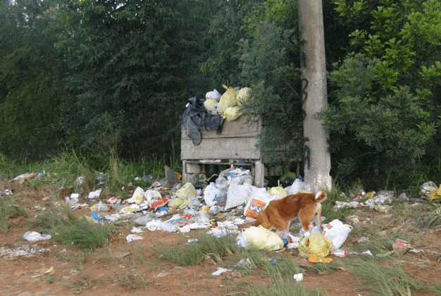 Situação encontrada no período em que vigorou o contrato emergencial