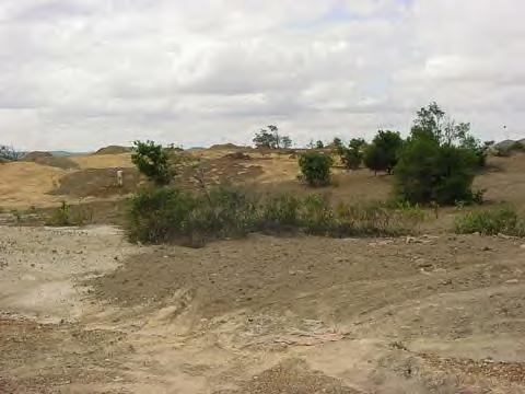 Foto: Google / Degradação ambiental gerou Casa Abrigo e Hipoteca Ambiental em Osório