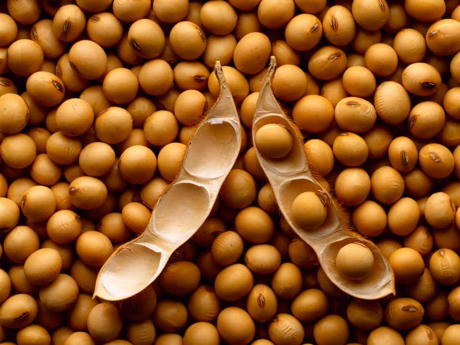 Mais de 19 mil produtores podem ser beneficiados pela medida