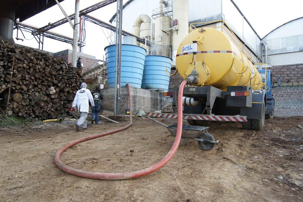 Os flagrantes foram feitos em uma fábrica de ração para animais no Vale dos Sinos