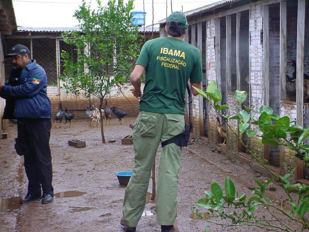 Fotos/Marco A. Nunes: fiscal do Ibama na ação