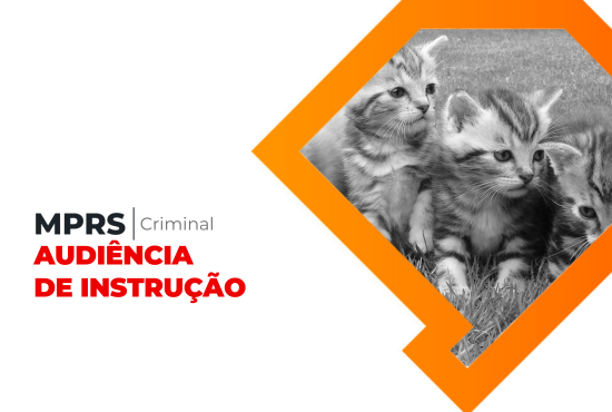 MPRS vai buscar a condenação máxima de homem denunciado por maus-tratos a gatos em Caxias do Sul