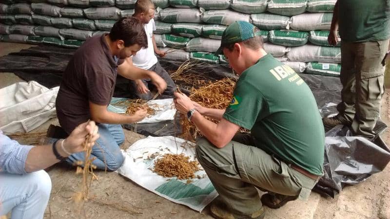 Uma das ações feitas este ano dentro do Fórum Gaúcho de Combate aos Agrotóxicos