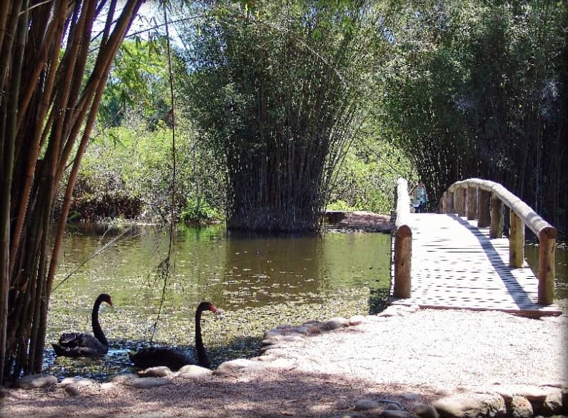 Jardim Botânico de Porto Alegre
