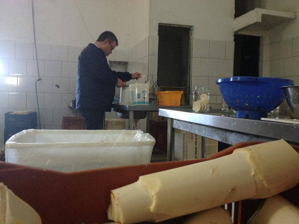 Laudos comprovaram que empresas vendiam palmito Juçara e conservas impróprias para consumo
