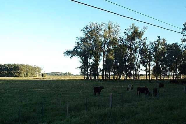 Reserva do Lami - Foto: site UFRGS