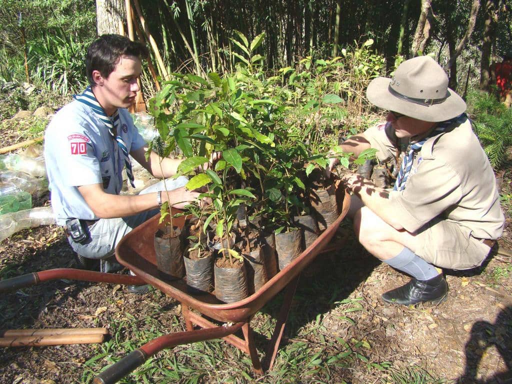 Escoteiros plantaram mudas...