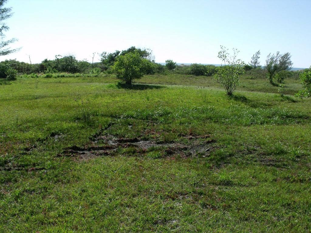 Interdição decorre dos problemas na infraestrutura da área