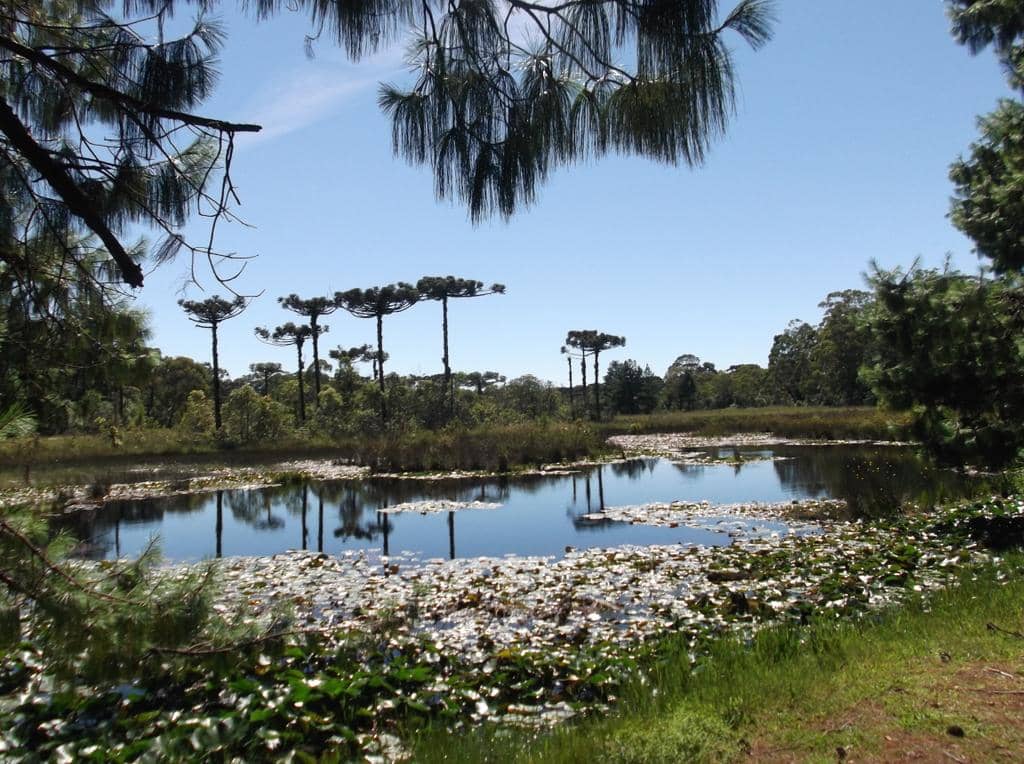 Parque das Orquídeas