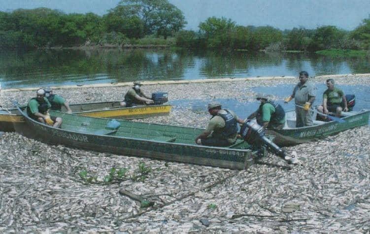 Ação do MPRS resulta em condenação de R$ 8,3 milhões por mortandade de peixes no Rio dos Sinos
