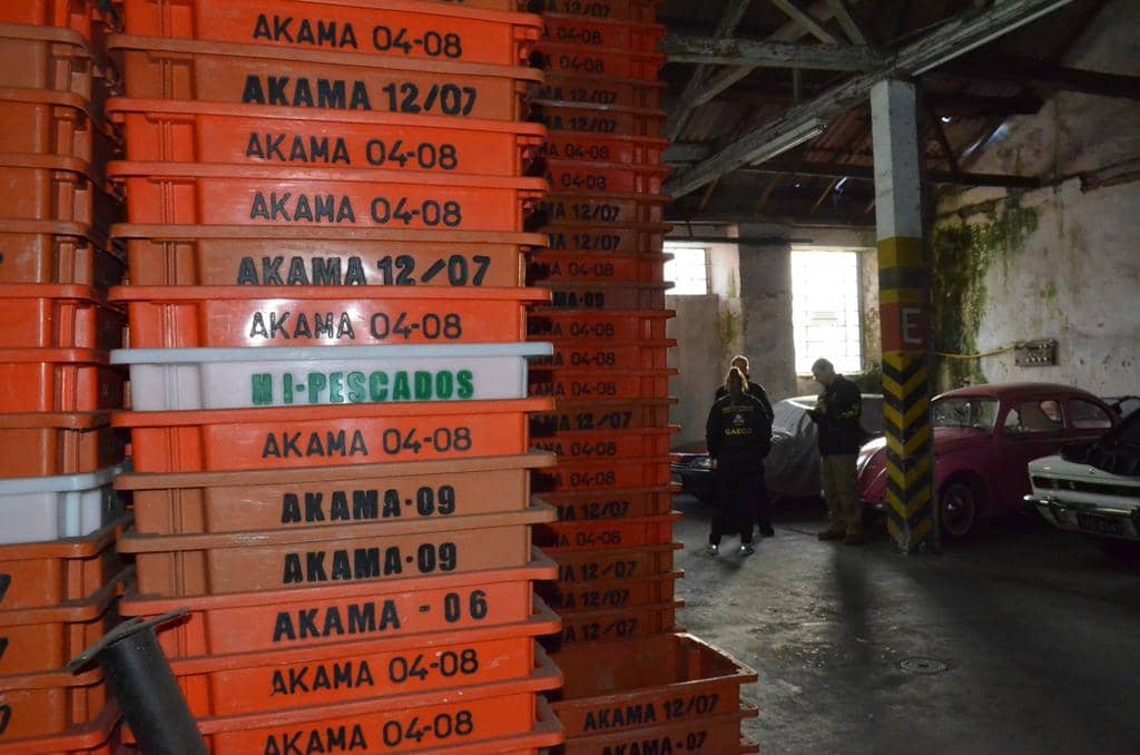 Operação Pescado investiga fraude no ICMS