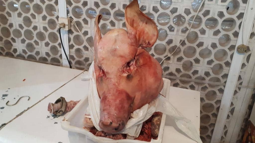 FT em Guarani das Missões detectou problemas graves 