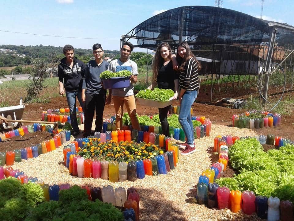 Horta cultivada pelos alunos no projeto