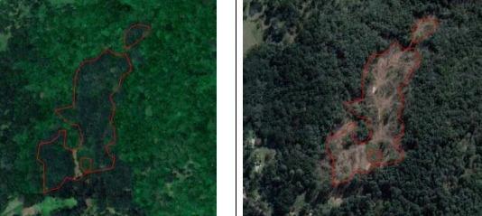 Imagens de satélite de novembro de 2018 (D) e da mesma área em agosto de 2019 (E)