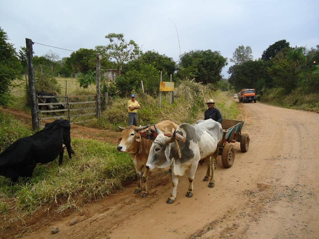 Quilombo do Macaco Branco: A origem do nome – MB Notícias