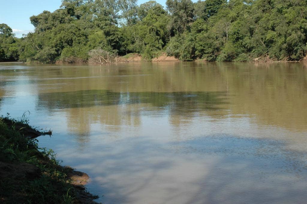 Rio dos Sinos está entre os três mais poluídos do Brasil