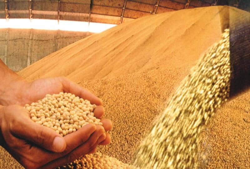 Safra da soja será depositada em nome de produtores