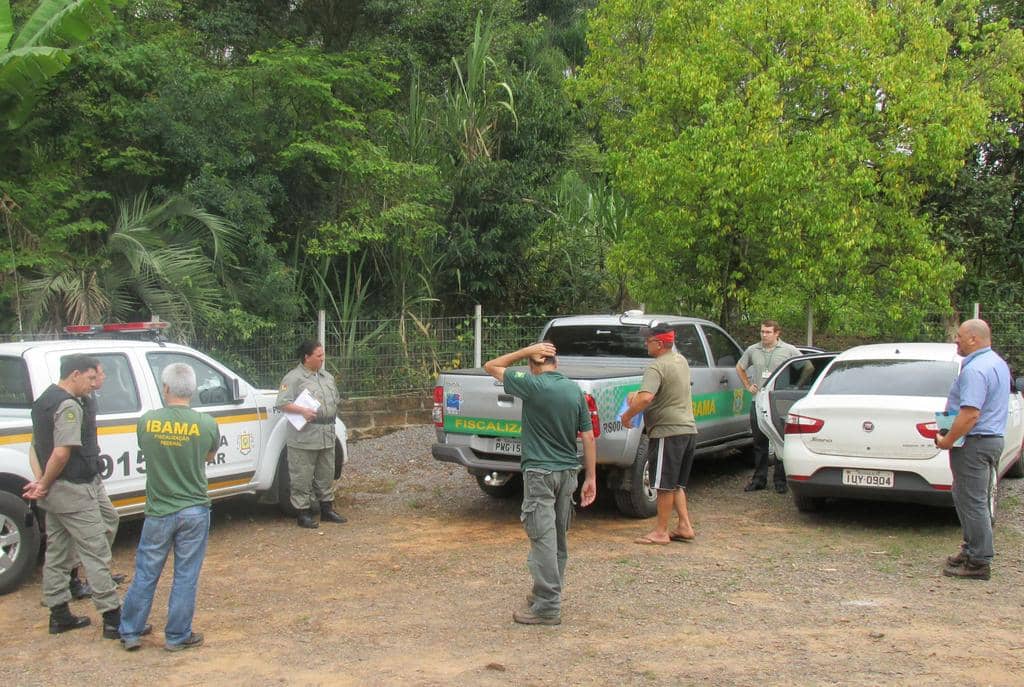 Ação na propriedade rural