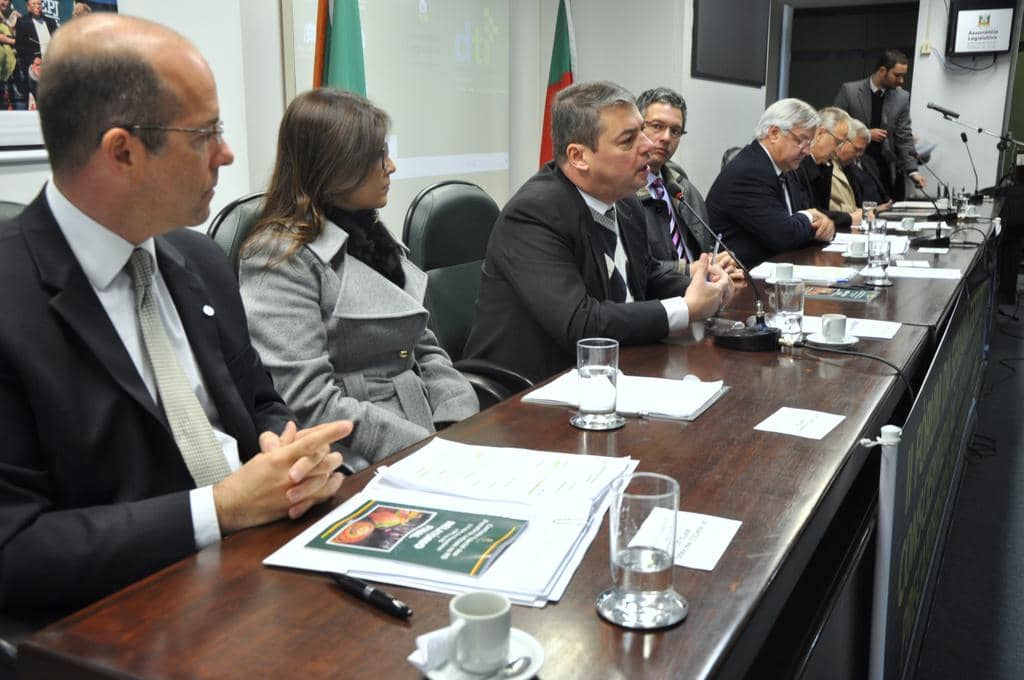 A manifestação de Eduardo de Lima Veiga