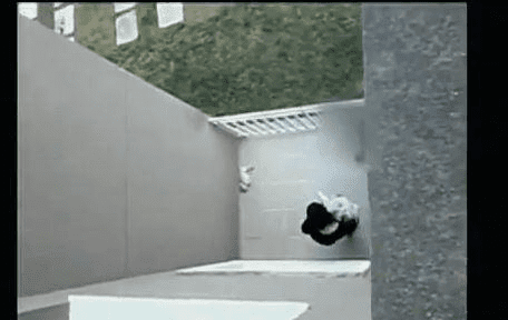 Vídeo postado na internet flagrou agressão a cachorro